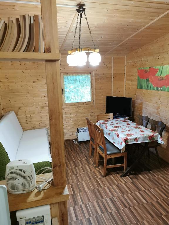 Televízia a/alebo spoločenská miestnosť v ubytovaní Domki drewniane alpejskie