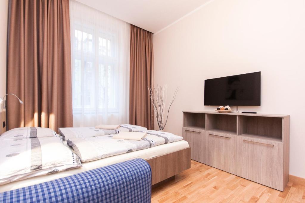 プラハにあるManesova Astra Apartmentのベッドルーム(ベッド1台、薄型テレビ付)