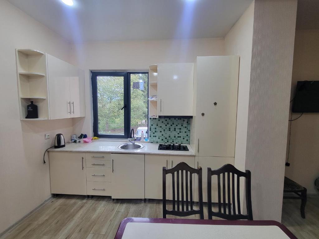 Kuchyň nebo kuchyňský kout v ubytování Zura's Apartment