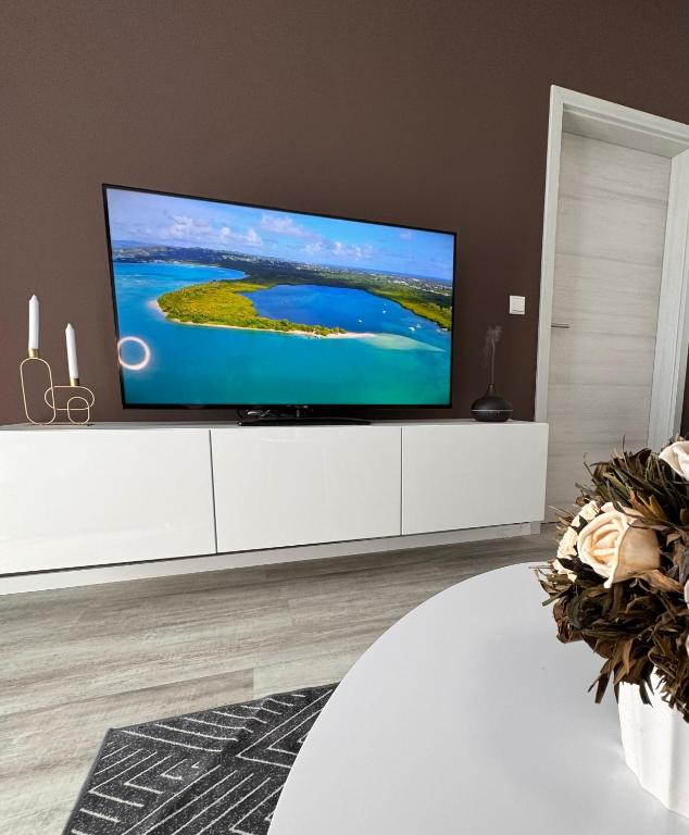 TV a/nebo společenská místnost v ubytování Apartment Künzelsau II