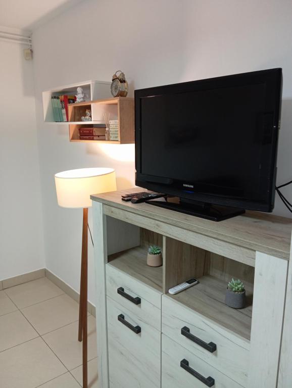 TV a/nebo společenská místnost v ubytování Apartman Fontana