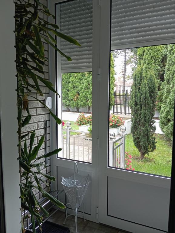 Zahrada ubytování Apartman Fontana