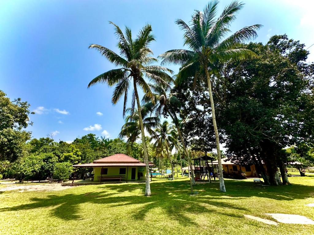 サンタレンにあるCasa Verão - Fazenda Oásis do Paráの公園にある2本のヤシの木と家