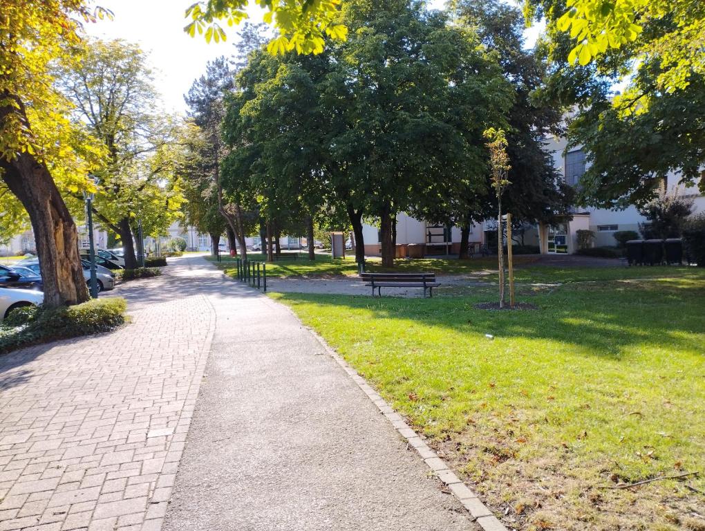 Apartement 2 rooms Saint Louis - Euroairport - Basel - Train station – photo 11