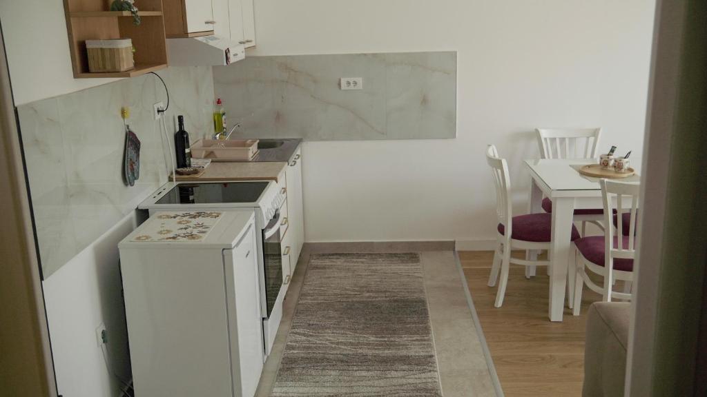 Kuchyň nebo kuchyňský kout v ubytování Sova apartman 2