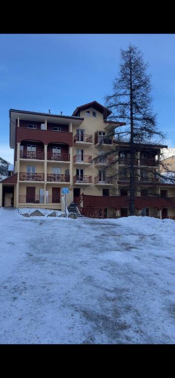 un grand bâtiment avec un arbre dans la neige dans l'établissement Studio la foux Allos, à Allos