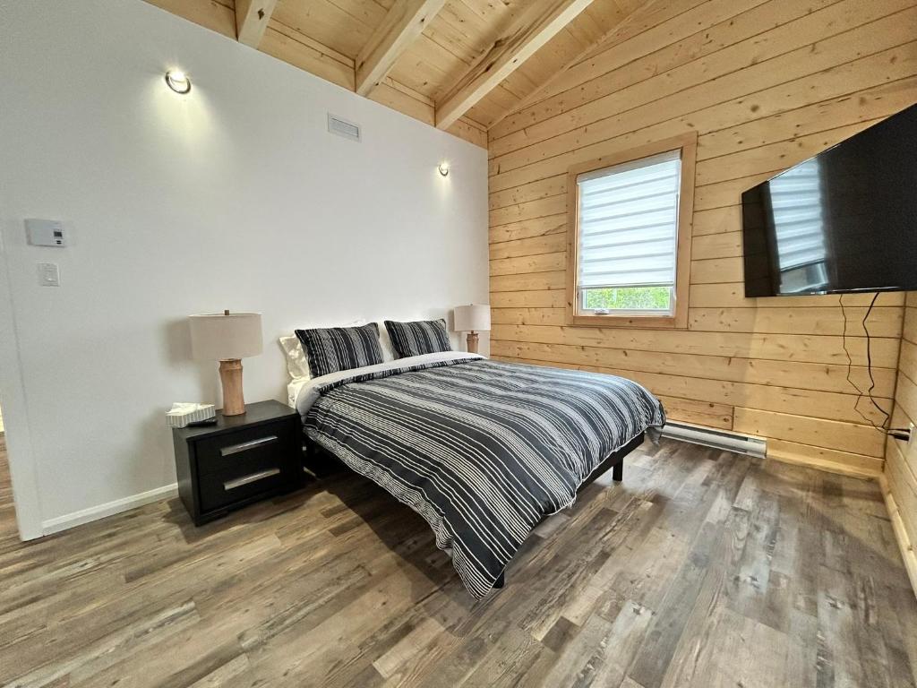 TV a/nebo společenská místnost v ubytování Chalets domaine Otis