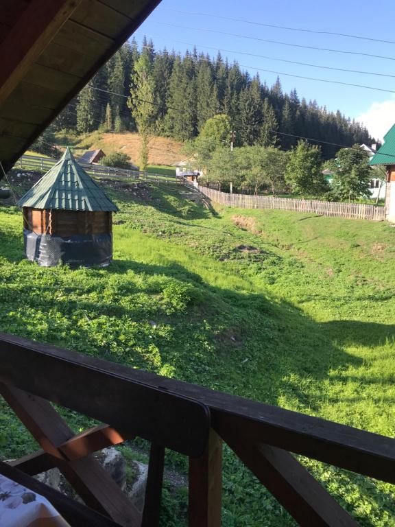 Příroda nedaleko hotelu