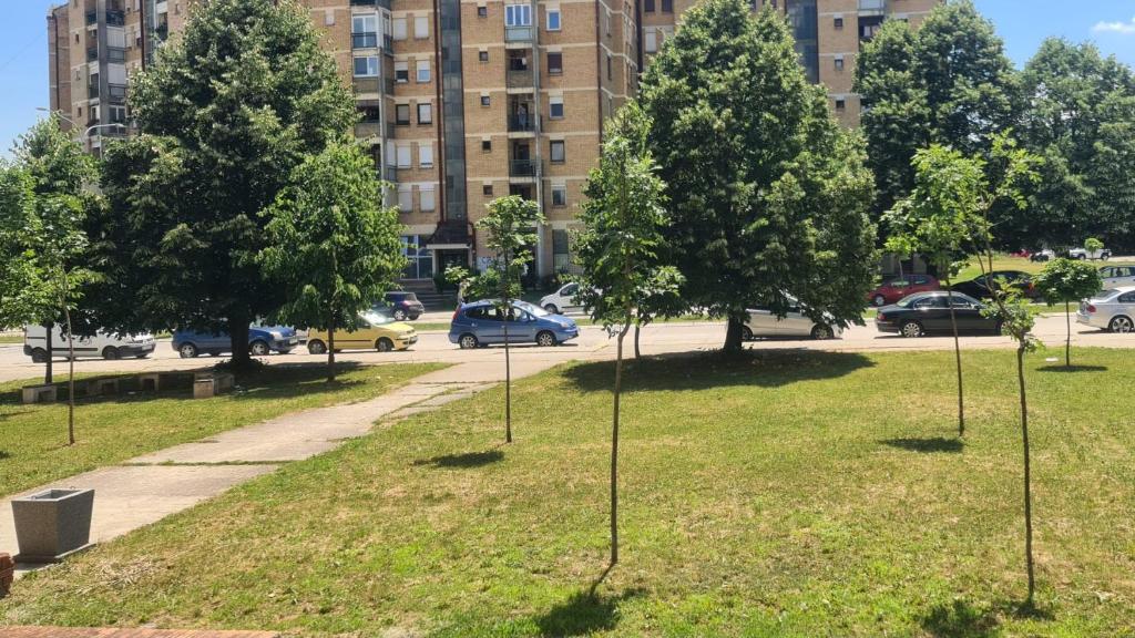 Zahrada ubytování Linden Avenue Apartment - self check in