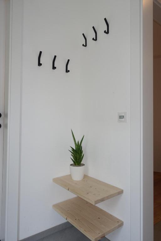 Waldblick - Neubau - Self-Check-In - kein Verkehr - am Wald - Parkplätze vor Tür - apartment or double room - 19