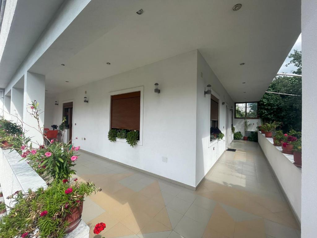 Guest House Pogradec 1 - Villa De Una Habitación