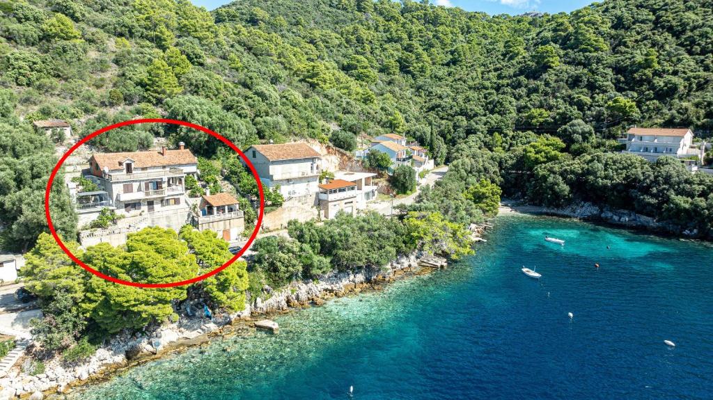 Příroda nedaleko apartmánu