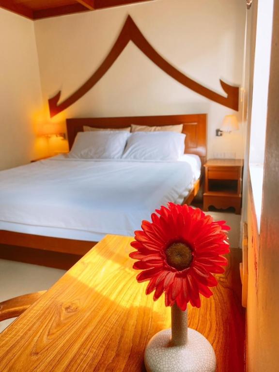 Patong Terrace Hotel - Resim 15