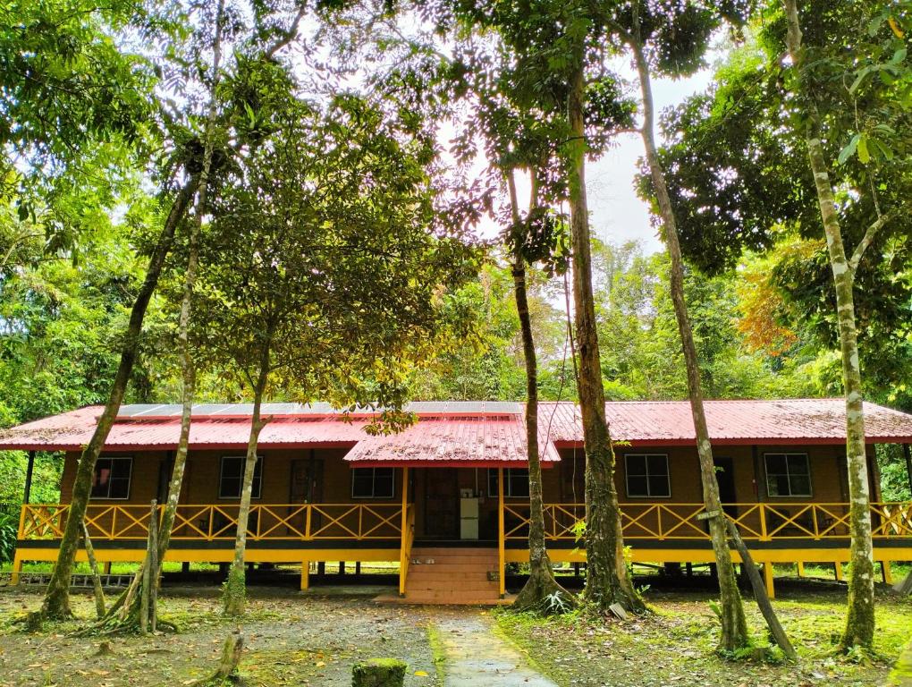 Zahrada ubytování Borneo Jungle Adventure