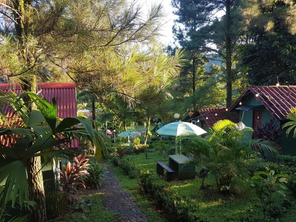 Zahrada ubytování LOS PINOS DE TORIO
