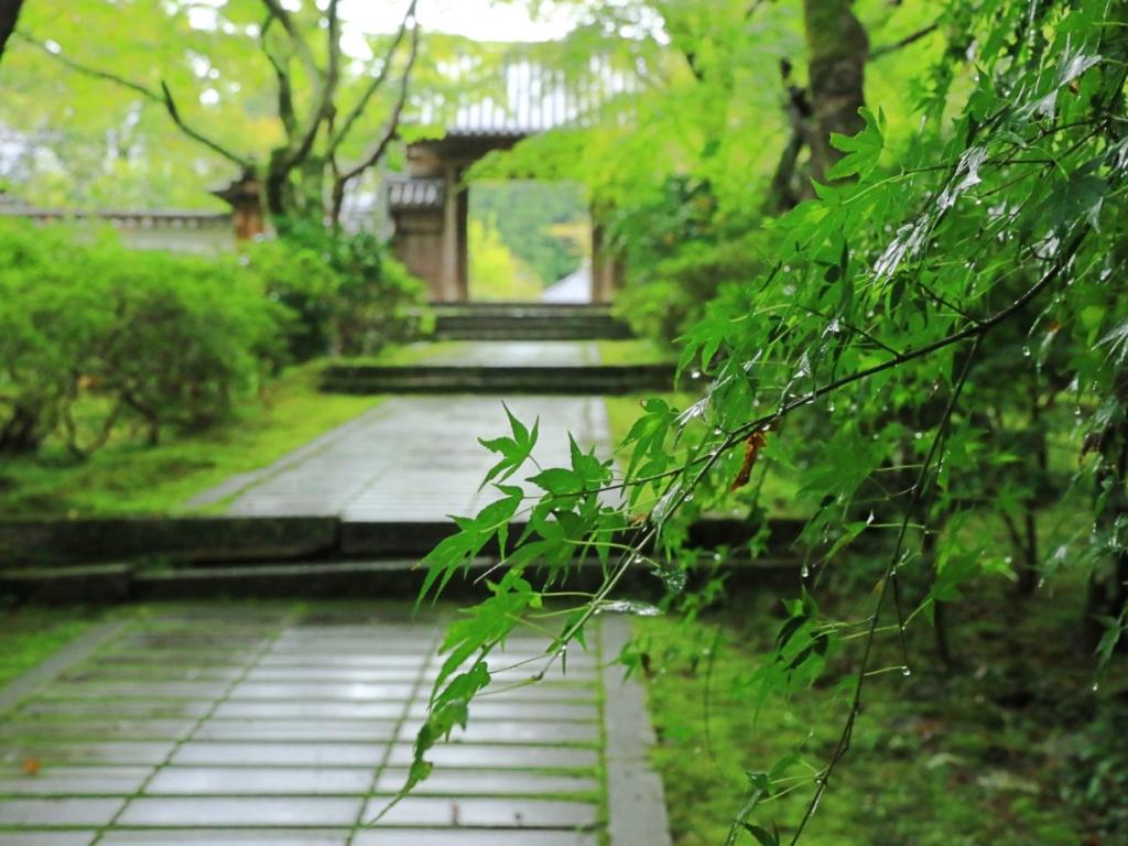 Zahrada ubytování 河内長野荘