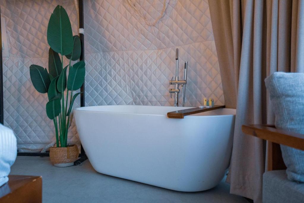 una vasca bianca in bagno con una pianta di Starry Domes Desert Camp a Badīyah