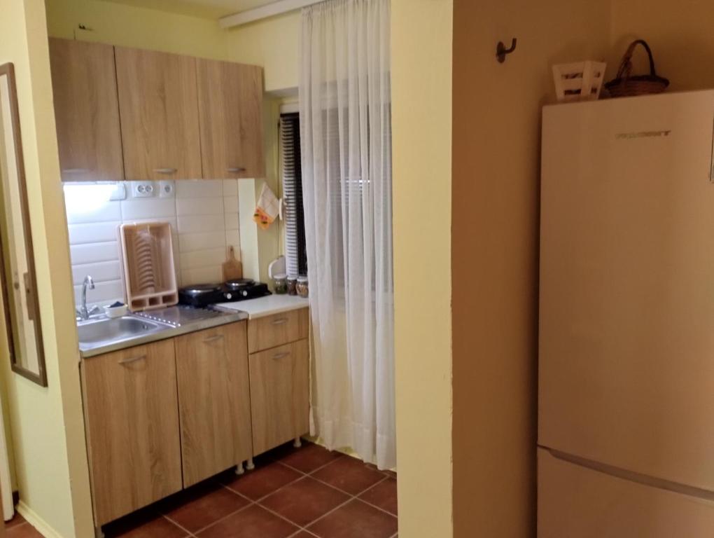 Kuchyň nebo kuchyňský kout v ubytování Dečiji vinogradi Belgrade, Sopot, Kosmaj