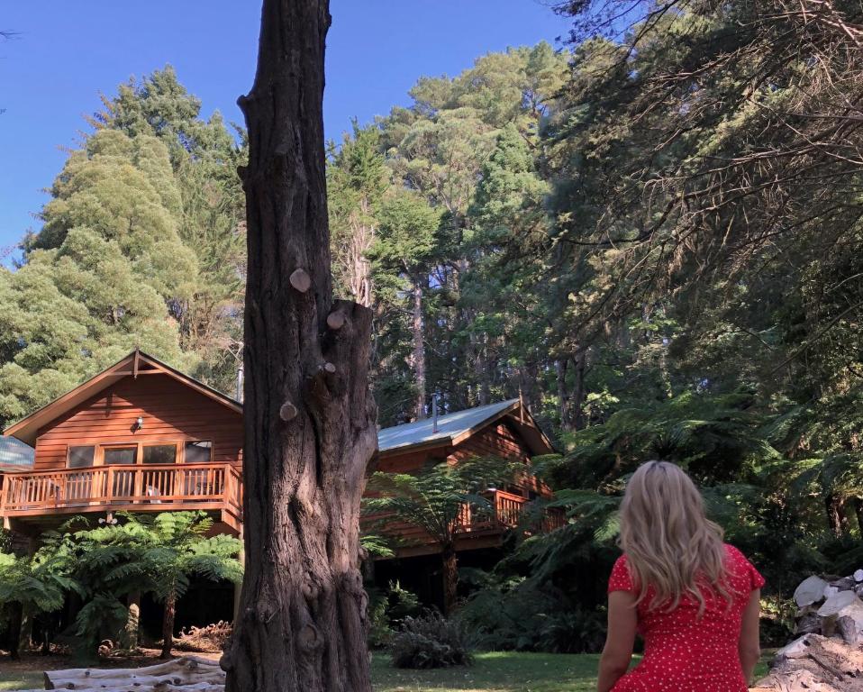 Gallery image of Chudleigh Park Cottages in Sassafras