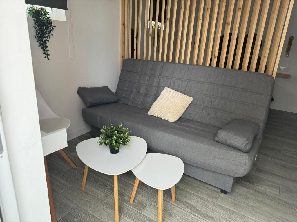 ヘレス・デ・ラ・フロンテーラにあるCasa Abuela Mariaのリビングルーム(グレーのソファ、テーブル2台付)