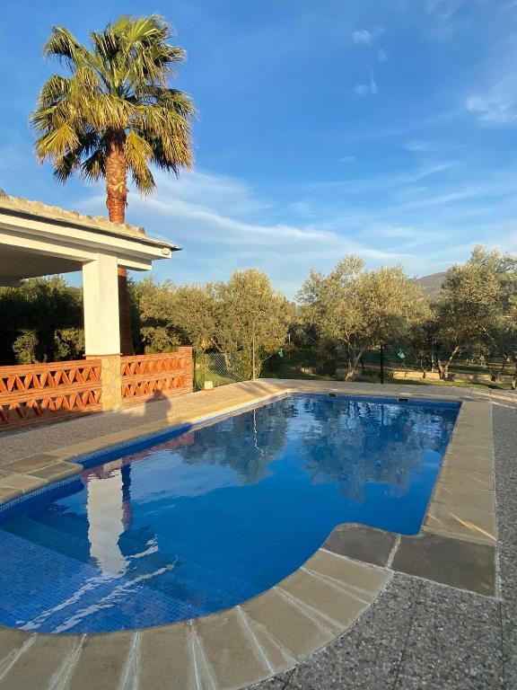 a swimming pool with a palm tree in the background at Casa María in Órgiva