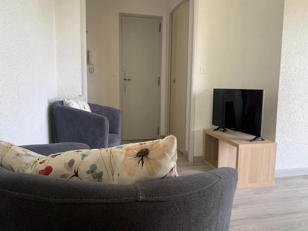 un salon avec un canapé et une télévision dans l'établissement Charmant studio au Cézanne, à Gréoux-les-Bains