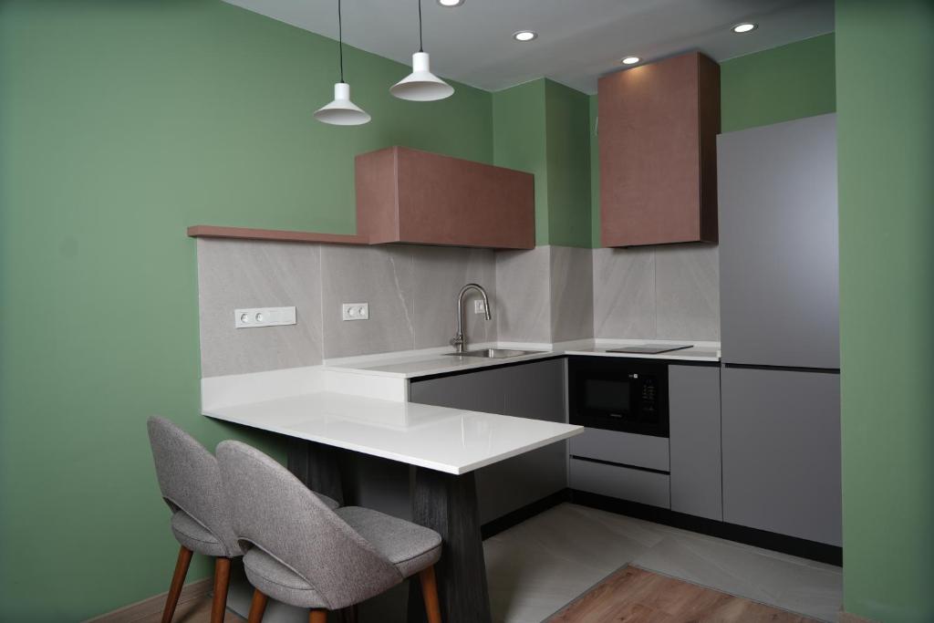 Kuchyň nebo kuchyňský kout v ubytování Eikon Apartments Abastumani