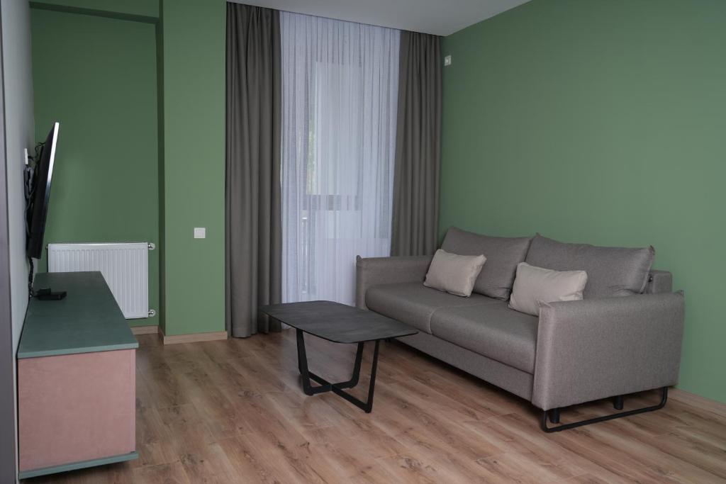 TV a/nebo společenská místnost v ubytování Eikon Apartments Abastumani