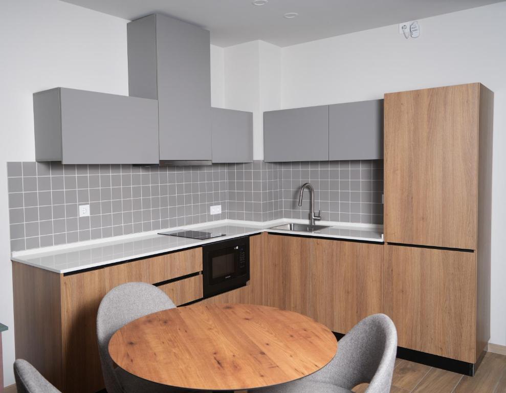 Kuchyň nebo kuchyňský kout v ubytování Eikon Apartments Abastumani