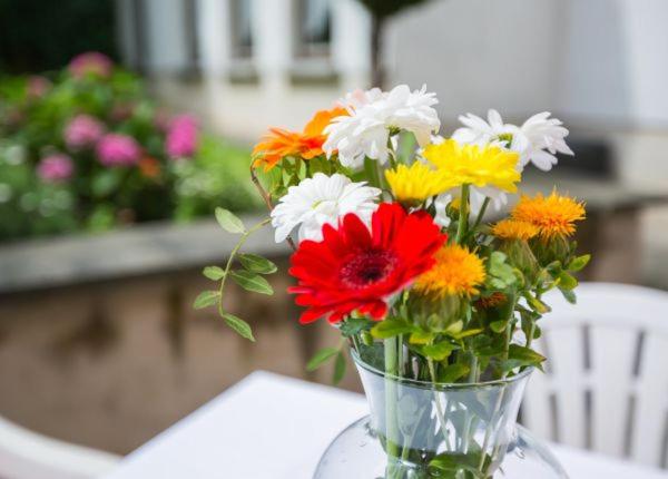 Zahrada ubytování Hotel Annet garni