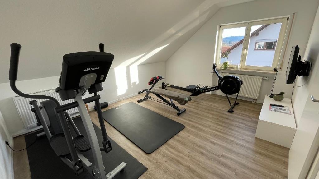 Fitness centrum a/nebo fitness zařízení v ubytování Schwarzwald Wellness byHannes
