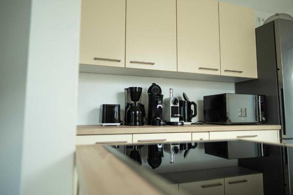 Kuchyň nebo kuchyňský kout v ubytování Schwarzwald Wellness byHannes