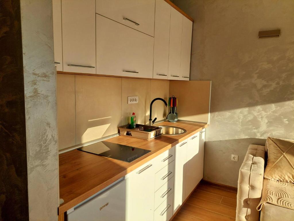 Kuchyň nebo kuchyňský kout v ubytování Apartman DIVČI TRON 10