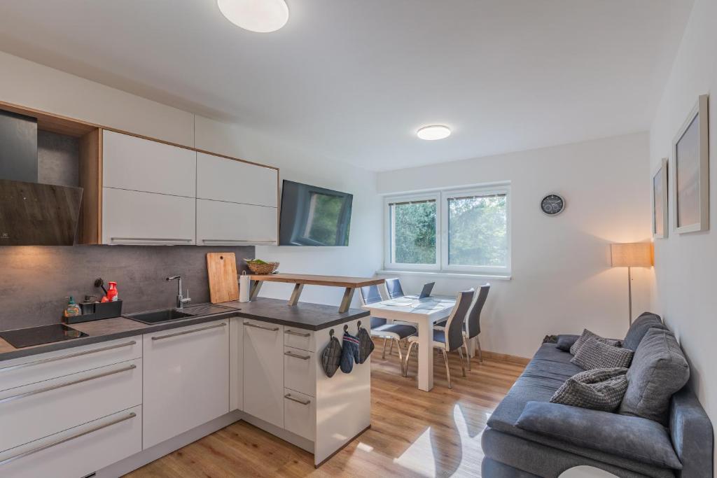Kuchyňa alebo kuchynka v ubytovaní Apartmán Černá v Pošumaví