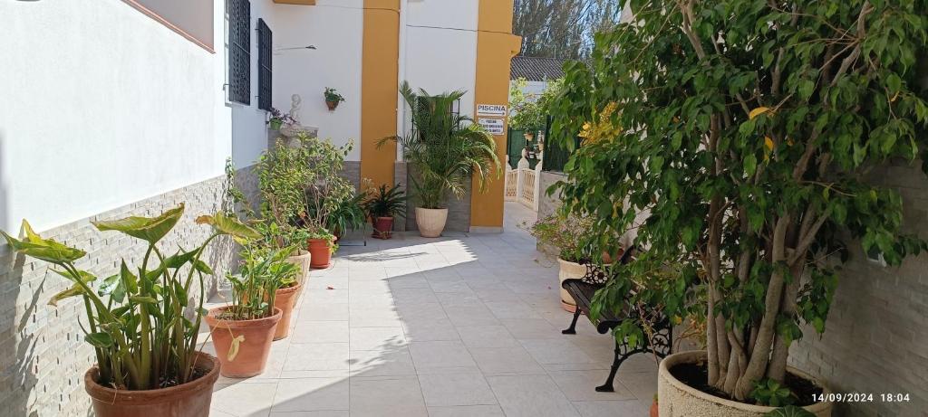 a hallway with potted plants on the side of a building at PARAISO PLAYA Hotel in Isla Cristina
