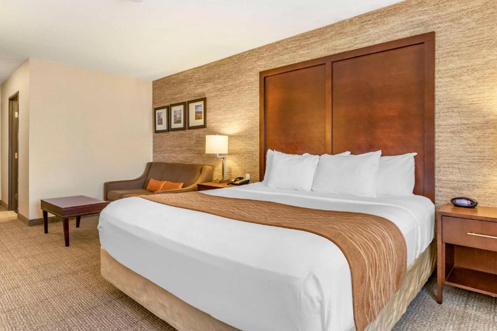 Comfort Inn & Suites Ludington near US-10 photo