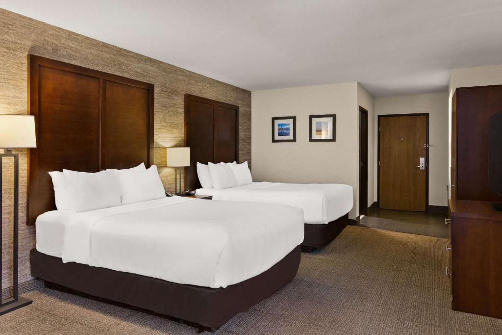 Comfort Inn & Suites Ludington near US-10 photo