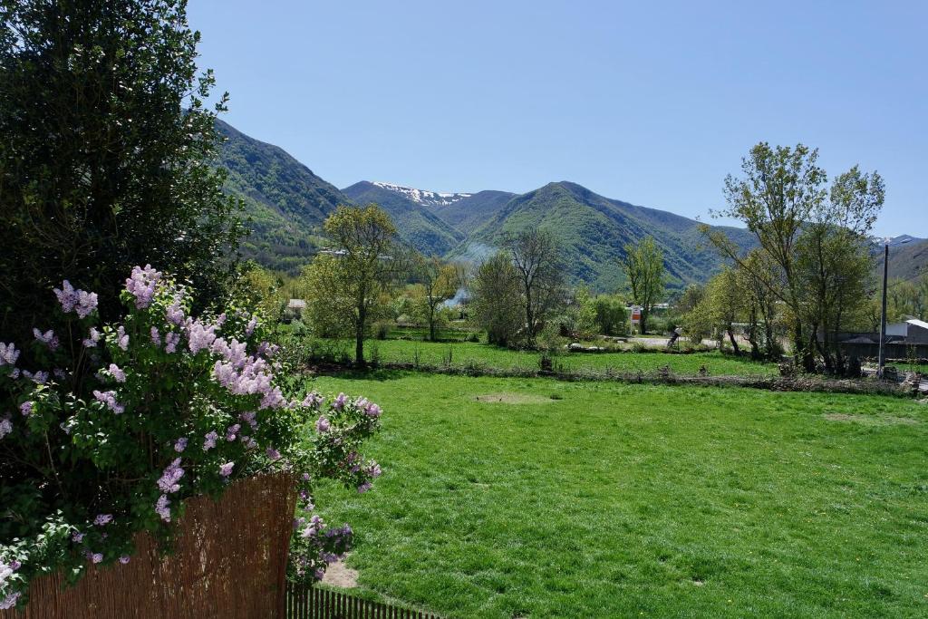 Příroda nedaleko apartmánu