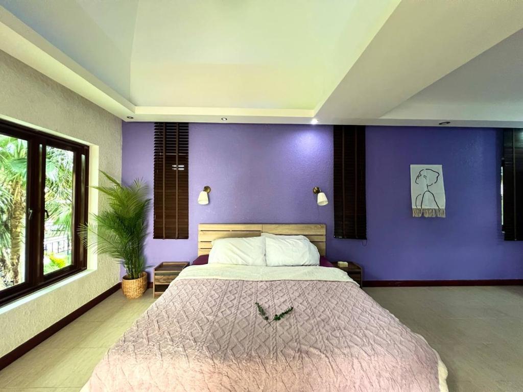 Smokers Resort - Suite With Terrace