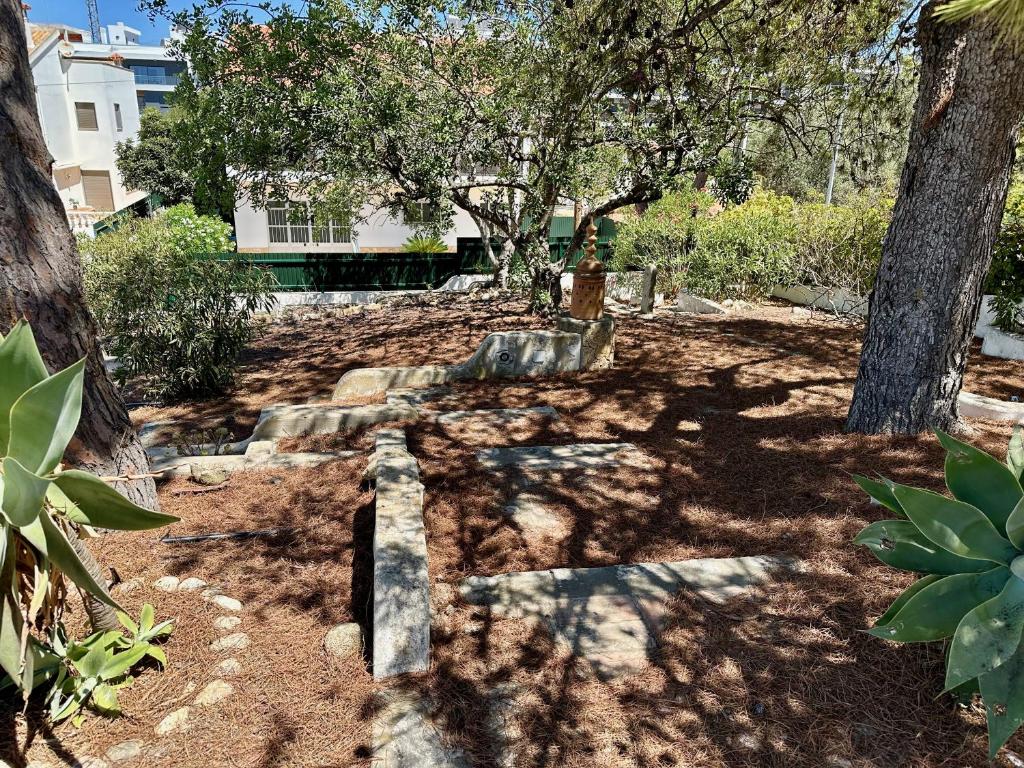 a garden with trees and a stone pathway at Monteverde in Monte Negro