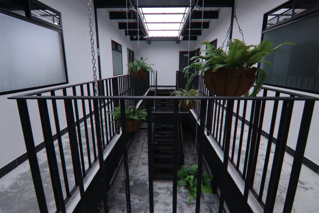 Fotografie z fotogalerie ubytování Hotel Casa Laureles Malibú v destinaci Medellín