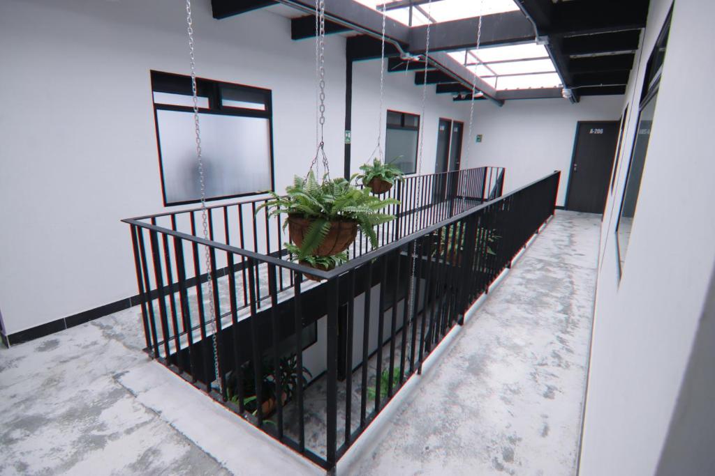 Fotografie z fotogalerie ubytování Hotel Casa Laureles Malibú v destinaci Medellín