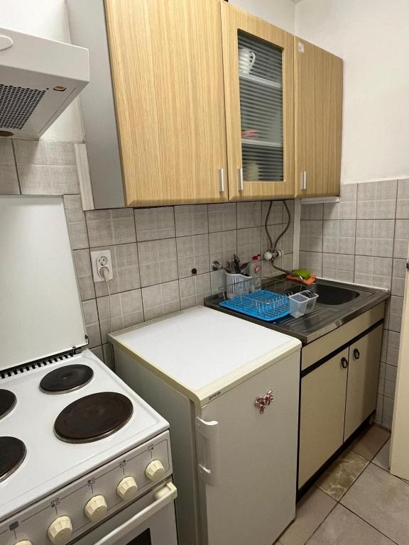 Kuchyň nebo kuchyňský kout v ubytování Apartman Tejsi