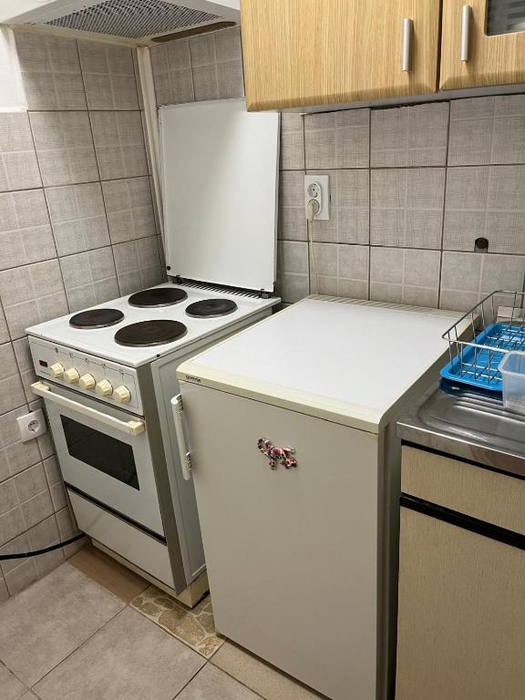 Kuchyň nebo kuchyňský kout v ubytování Apartman Tejsi
