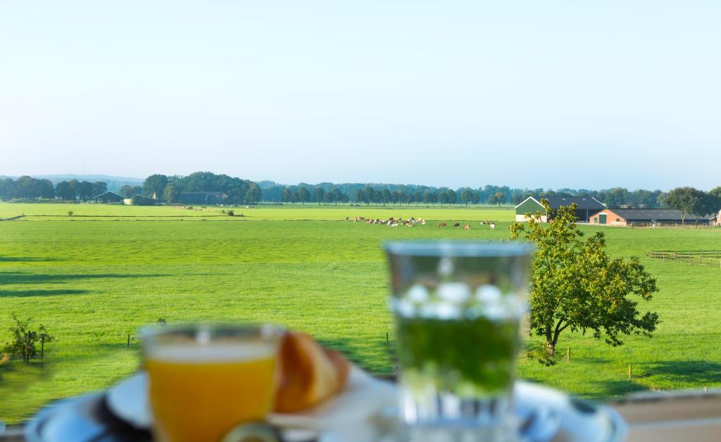 a glass of wine sitting on a table with a field at Hotel Zonneheuvel in Beek