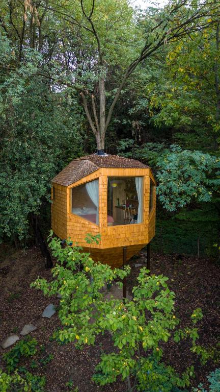 BerteaLa sat - Ană Năzdrăvană的森林中的一座小房子