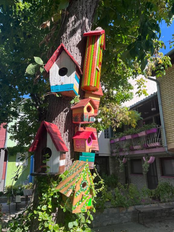 Flow House - Resim 33