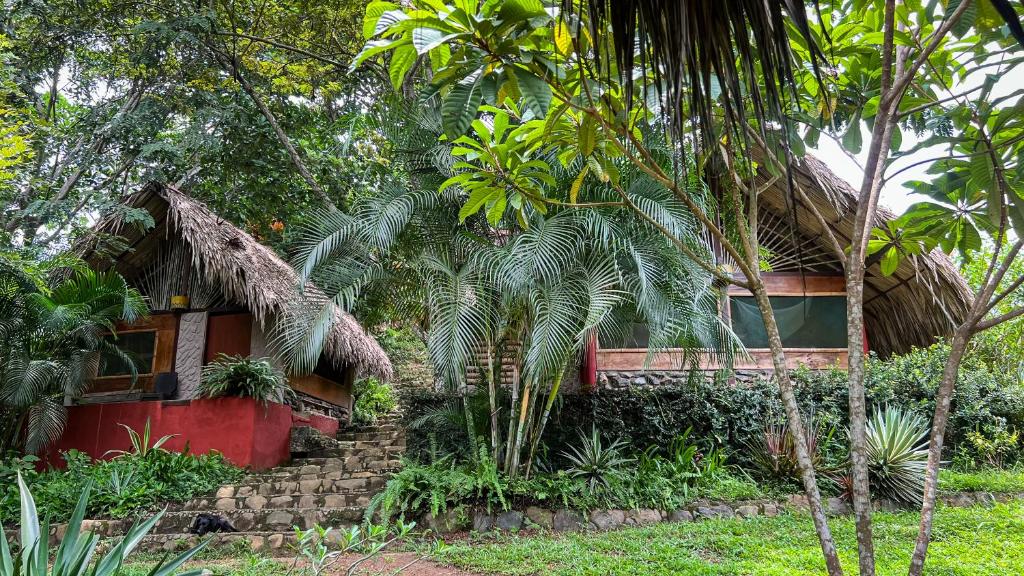 a house in the middle of a forest at Ave de Montaña Cabañas in El Zaino