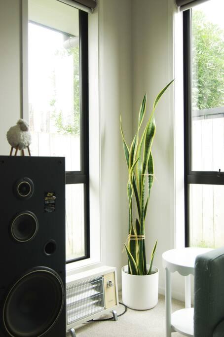 House in Hamilton - Resim 16