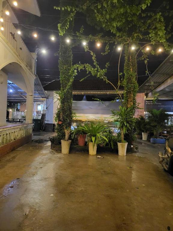 a room with a bunch of potted plants and lights at Monday in Phu Quoc